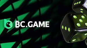 The Rise of BC.Game in Cameroon A New Era for Online Gaming